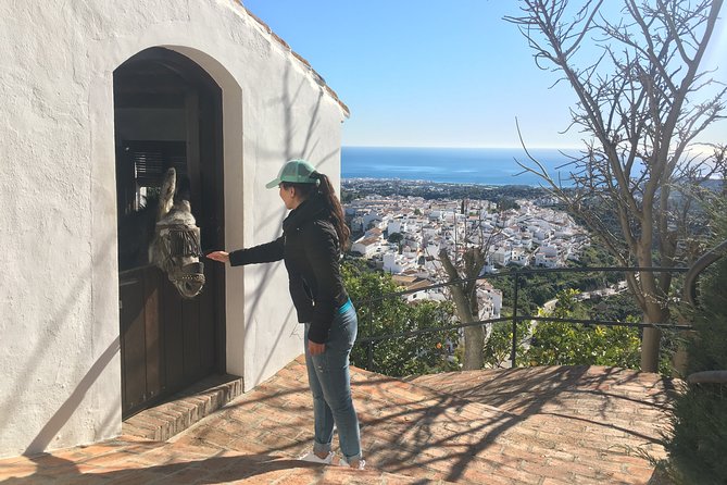 Frigiliana Small-Group Hike and Wine Tasting Tour from Malaga - Frigiliana after the hike: where the day’s charm lands