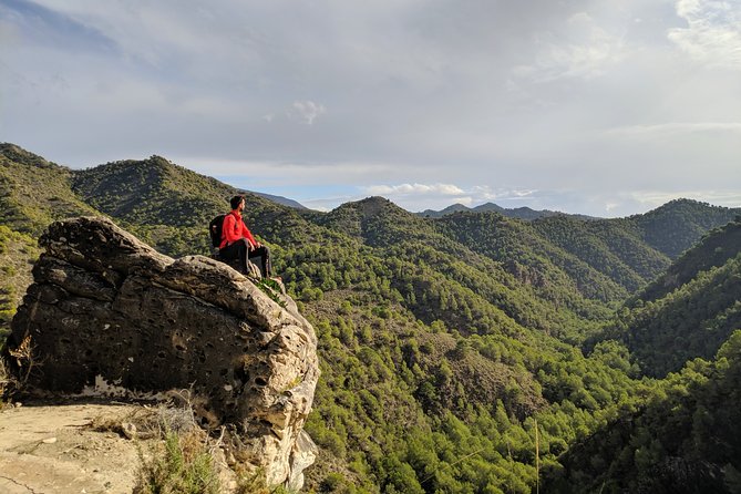 Frigiliana Small-Group Hike and Wine Tasting Tour from Malaga - Price and value: why $65.90 feels fair for this format