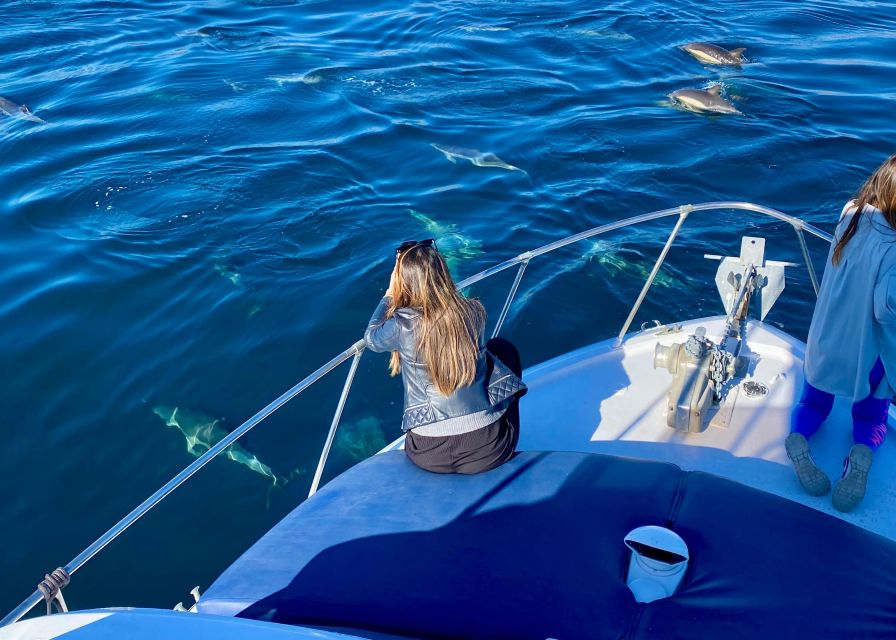 From Benalmádena & Torremolinos: Dolphin Watch Boat Trip - The boat experience: 10.6 meters, music onboard, and what’s truly included