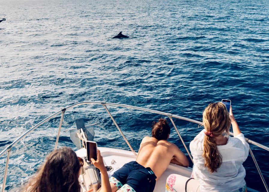 From Benalmádena & Torremolinos: Dolphin Watch Boat Trip - The swim stop: your best odds for a quick refresh