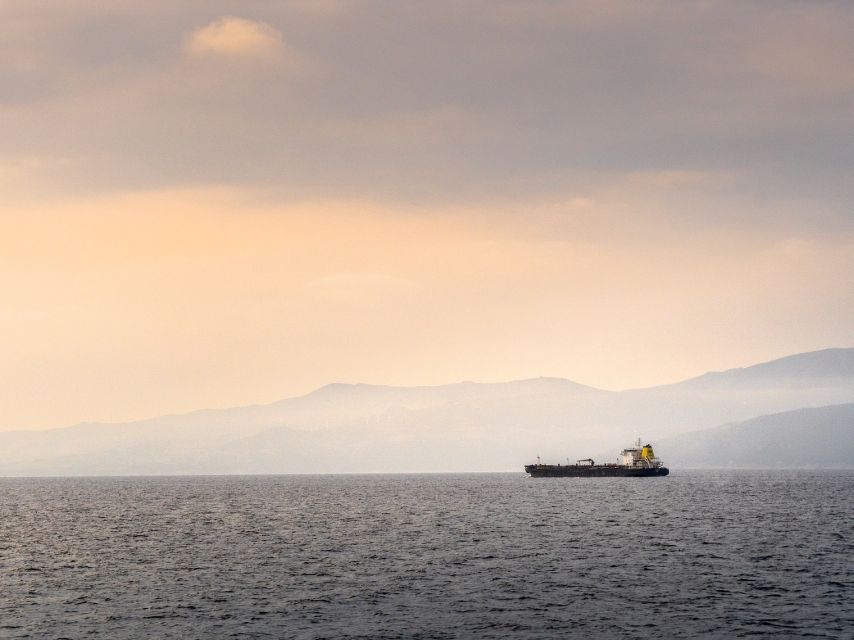 From Costa del Sol: Day Trip to Gibraltar with Guided Tour - Border crossing in Gibraltar: what to have ready and how to stay calm