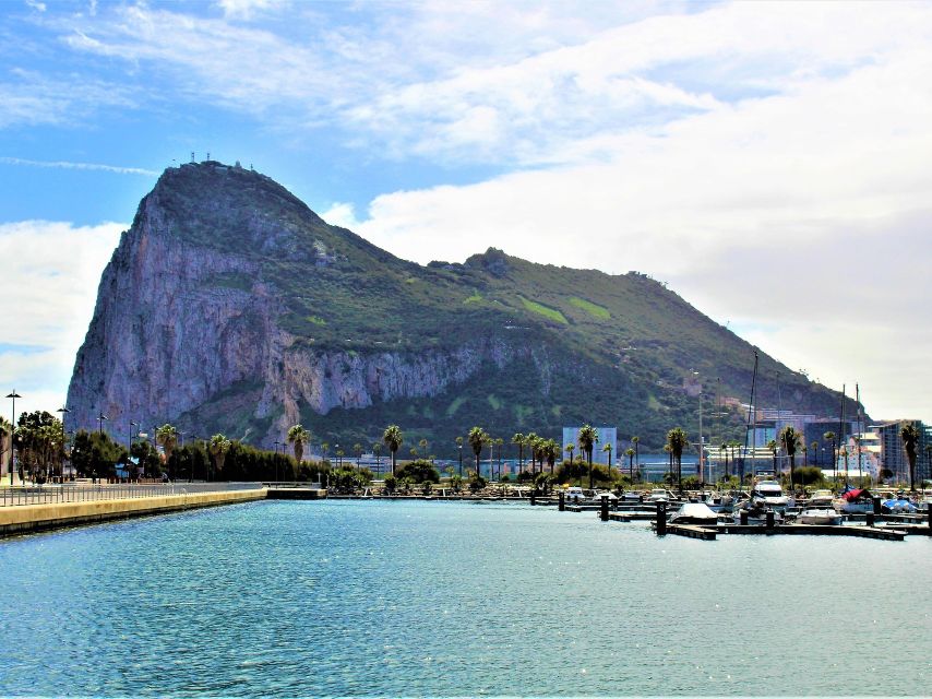 From Costa del Sol: Day Trip to Gibraltar with Guided Tour - Gibraltar Nature Reserve and St. Michael’s Cave: what the guided visit really delivers