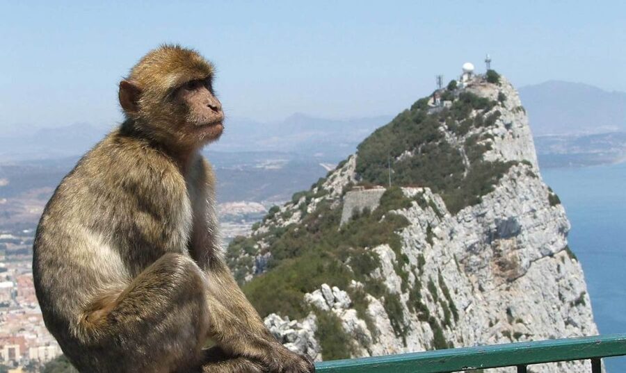 From Costa del Sol: Day Trip to Gibraltar with Guided Tour - Europa Point: the viewpoint stop that makes Gibraltar feel big