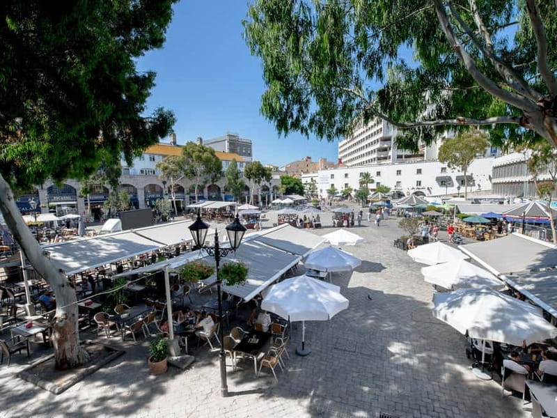 From Costa del Sol: Gibraltar Day Trip with Free Time - 5 hours in Gibraltar: how to spend it without feeling rushed
