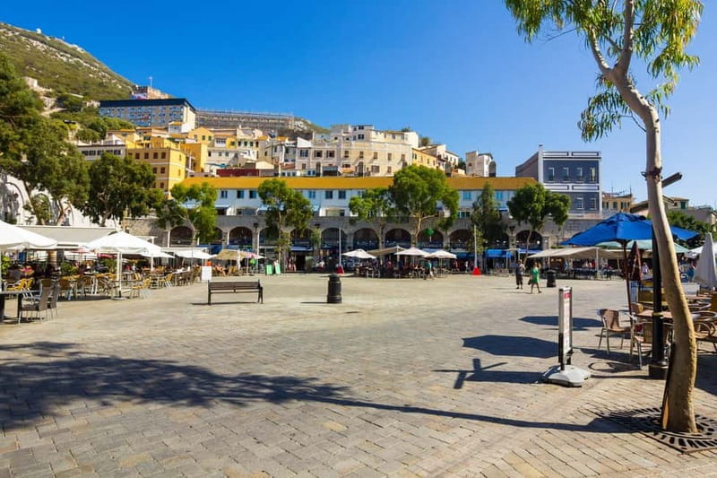 From Costa del Sol: Gibraltar Day Trip with Free Time - On-the-rock options: caves, monkeys, and rock tours