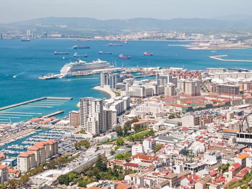 From Costa del Sol: Gibraltar Dolphin Watching by Boat - Key highlights worth your attention
