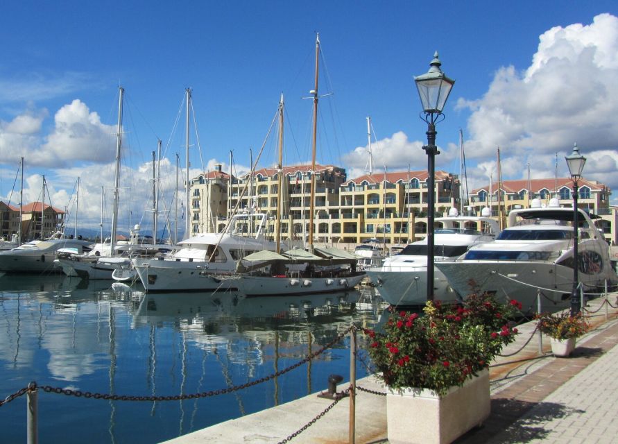 From Costa del Sol: Gibraltar Dolphin Watching by Boat - FAQ