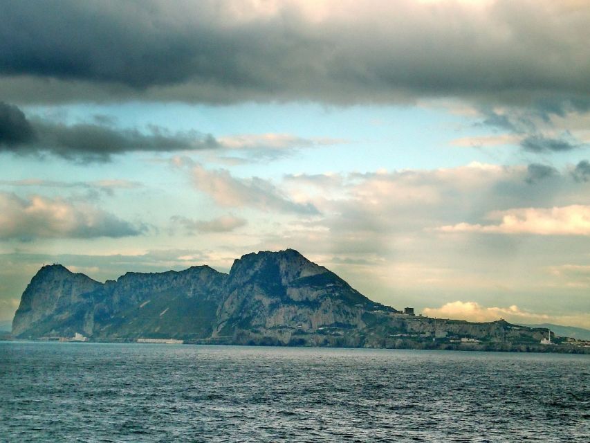 From Costa del Sol: Gibraltar Dolphin Watching by Boat - A long day worth it for dolphins and real Gibraltar time