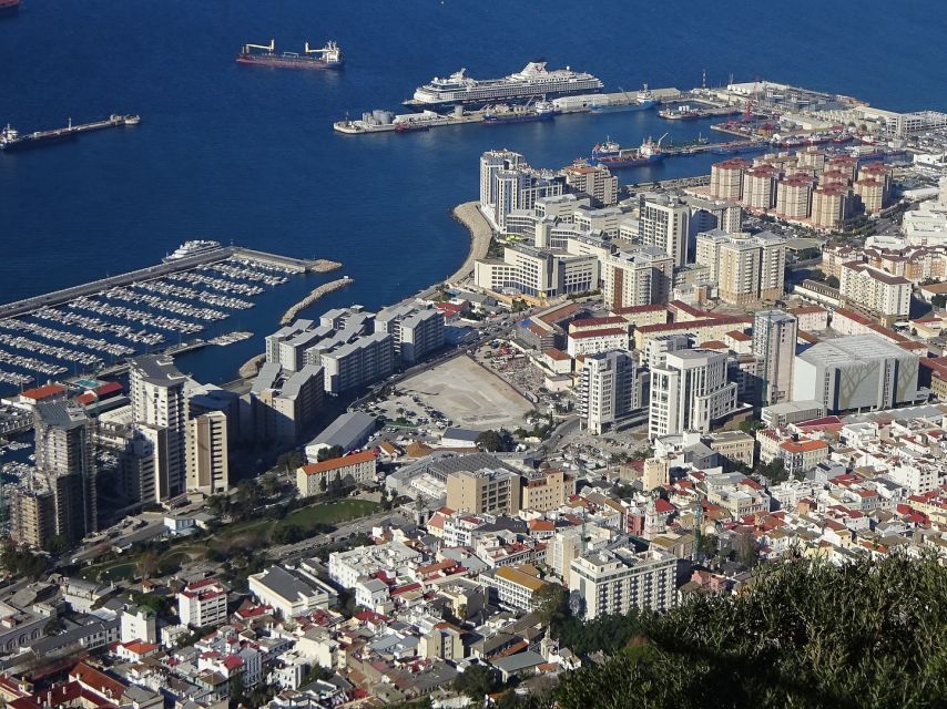 From Costa del Sol: Gibraltar Dolphin Watching by Boat - Price and value: is $106 per person worth the day?