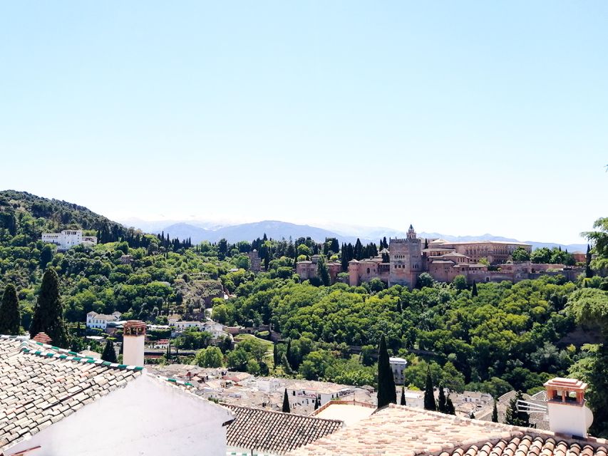 From Costa del Sol: Granada Day Trip Free Time 5h - Who this Granada day trip suits best