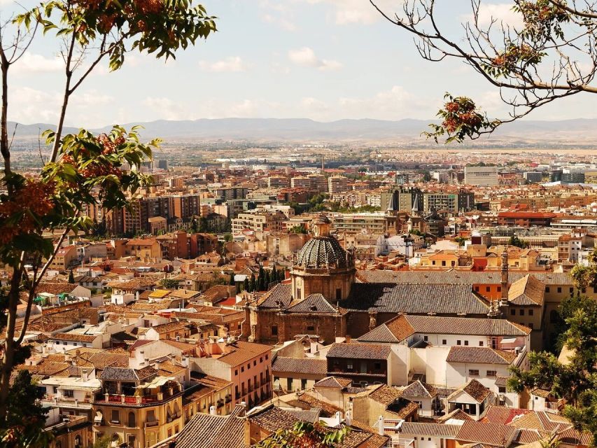 From Costa del Sol: Granada Day Trip Free Time 5h - The 30-minute breakfast stop in Granada province: small time, big impact