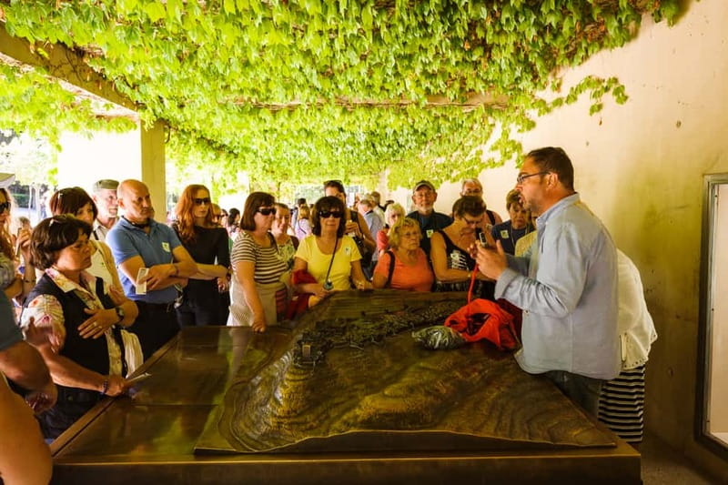 From Costa del Sol: Granada Full-Day Tour - Key things to know before you go
