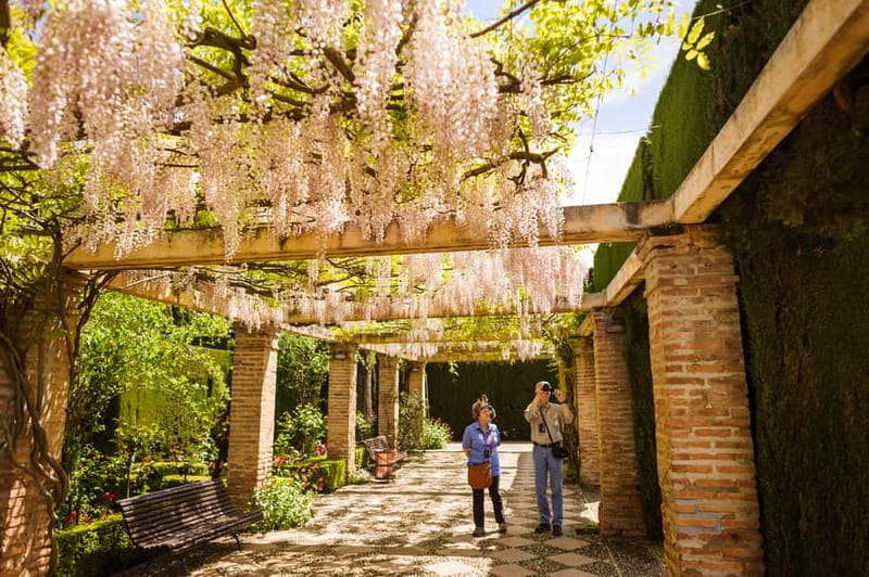 From Costa del Sol: Granada Full-Day Tour - Walking the historic center first: Cathedral, Royal Chapel, and the old souk feel