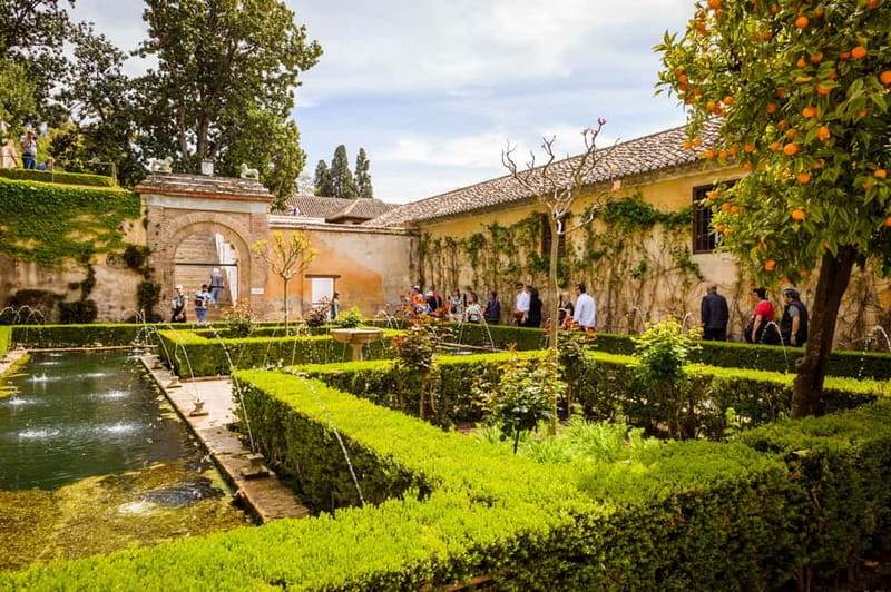 From Costa del Sol: Granada Full-Day Tour - Free time in Granada: use it to connect neighborhoods and eat well