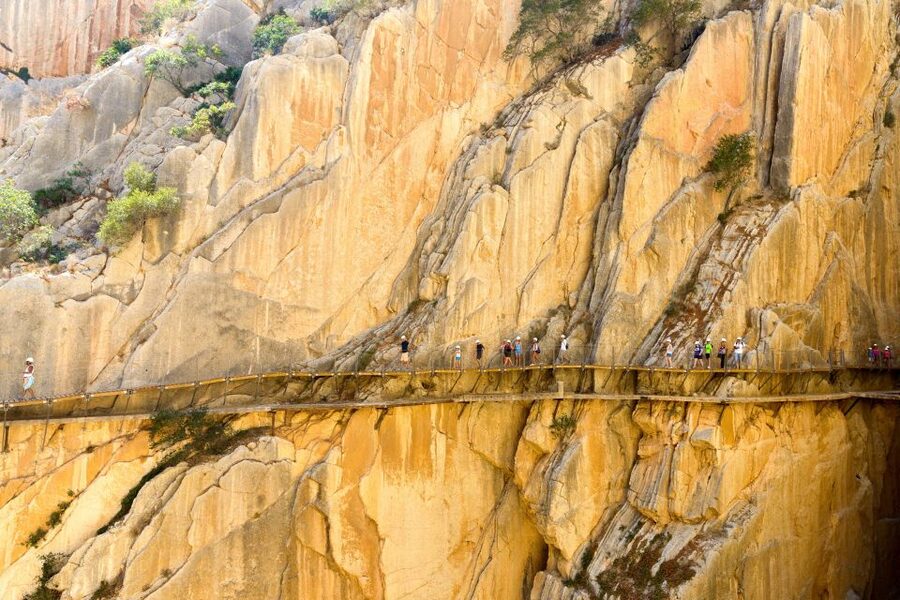 From Costa del Sol & Malaga: Caminito del Rey Guided Tour - Who should book this tour, and who should not