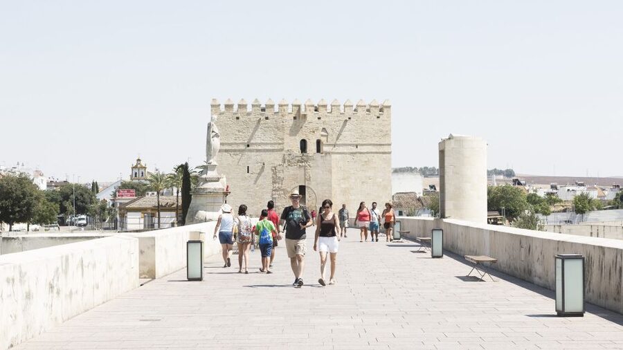 From Costa del Sol & Malaga: Cordoba Guided Day Tour - The 10-hour day: where the time goes from Costa del Sol