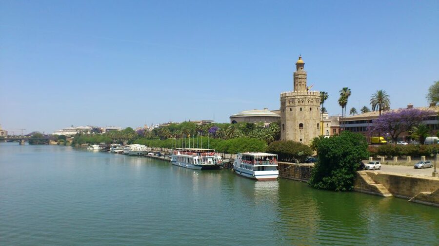 From Costa del Sol & Malaga: Seville Day Trip - Murillo Gardens to Santa Cruz, the Part That Feels Like Real Seville