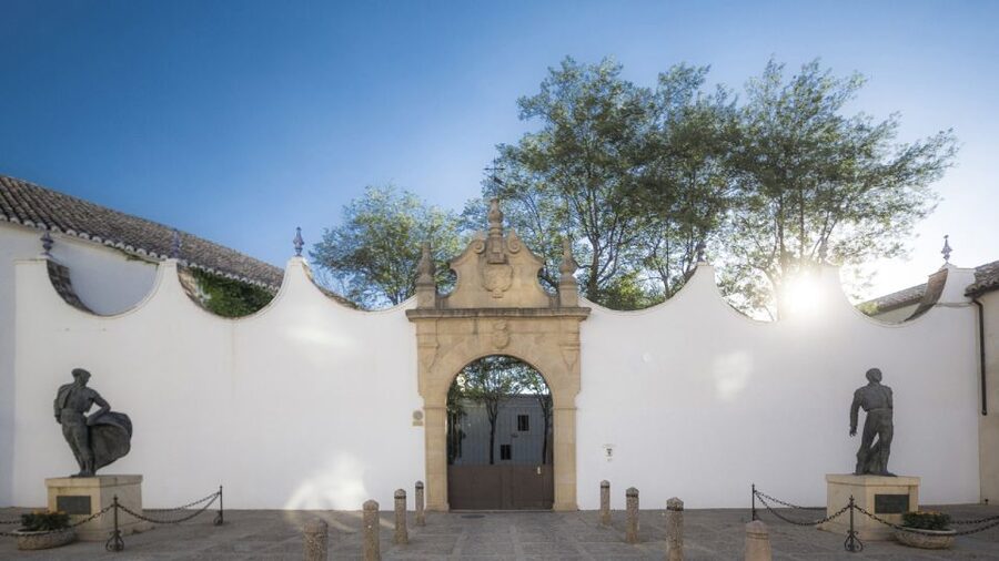 From Costa del Sol: Ronda Village Tour w/ Maestranza Ticket - Why Ronda and the Maestranza Are Worth Your Time