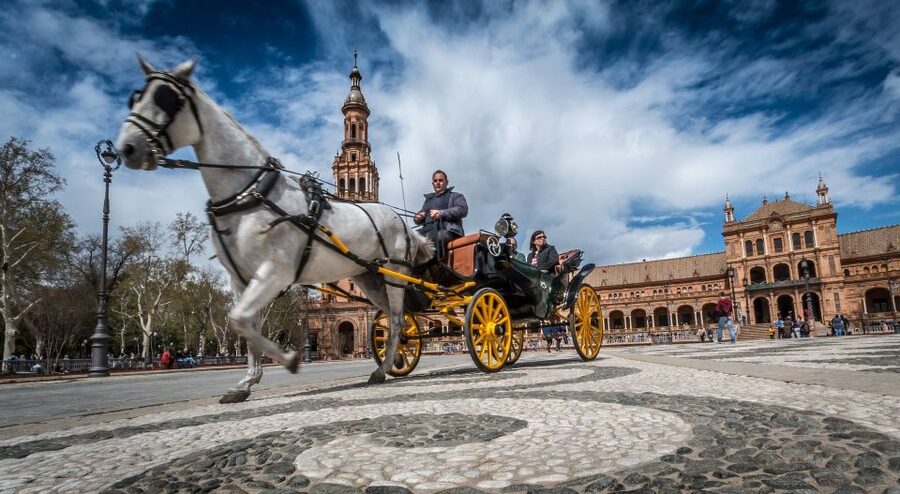 From Costa del Sol: Seville and Royal Alcázar Palace - Seville Cathedral and Giralda Bell Tower: Gothic Scale Plus Columbus’s Tomb