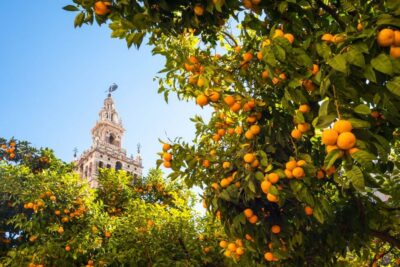 Seville Day Trip