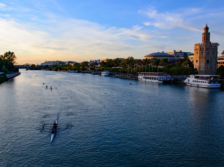 From Costa del Sol: Seville Day Trip - Comfort, languages, and the quality of the guide