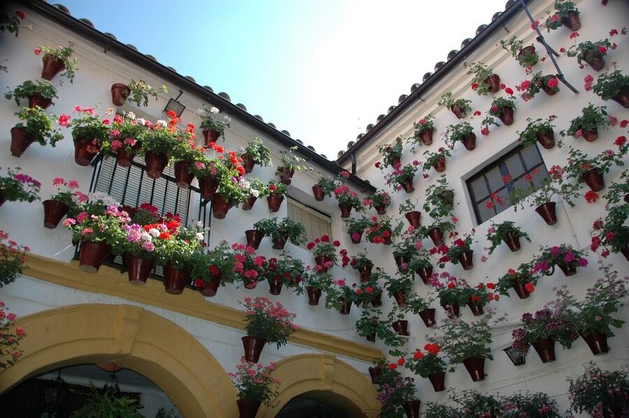 From Malaga and Costa Del Sol: Cordoba Day Trip - Cordoban Food Planning: Flamenquines, Salmorejo, and Realistic Expectations