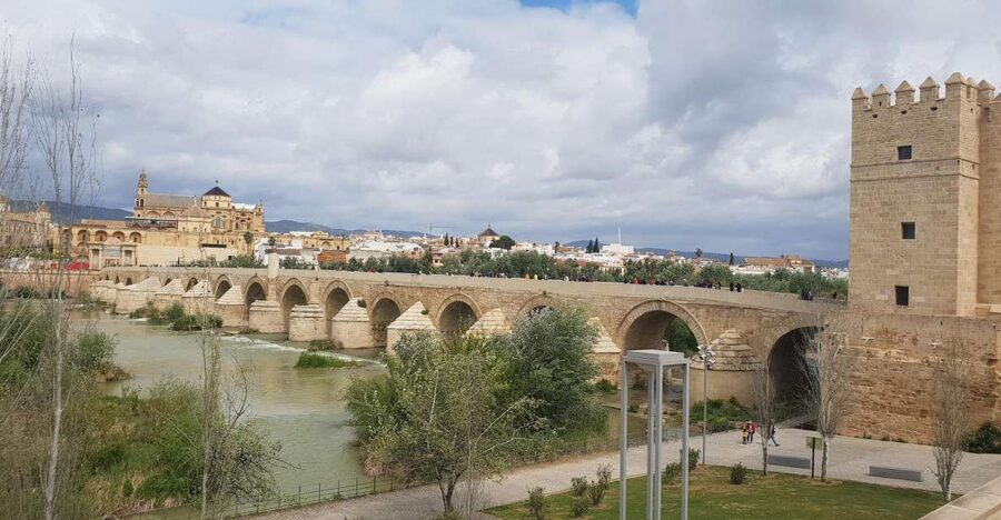From Malaga and Costa Del Sol: Cordoba Day Trip - The Bus Ride Into Andalucía: Stories, Comfort, and Quick Setup