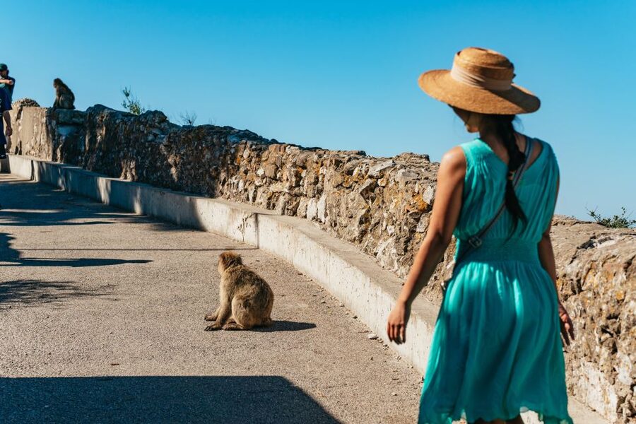 From Malaga and Costa del Sol: Gibraltar Tour - Gibraltar Town Time: Shopping Stops and Where to Put Your Feet