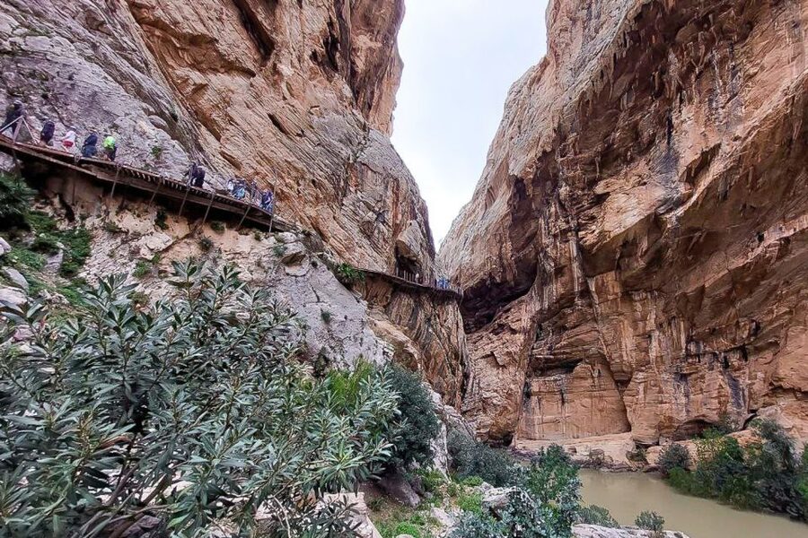 From Málaga: Caminito del Rey Guided Day Trip - Getting there without stress: buses, pickup points, and why it matters