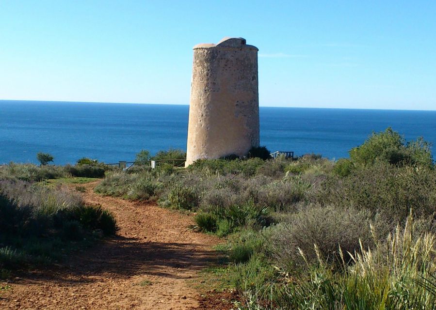 From Malaga: Cliffs of Maro Hike w/ Beach Visit & Snorkeling - From Malaga to the trailhead, the logistics that actually matter