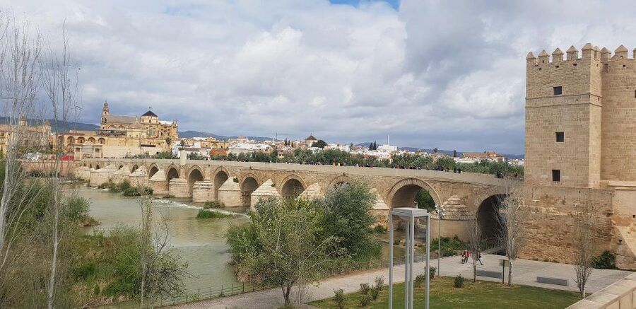 From Malaga: Cordoba Day Trip and Mosque-Cathedral - The 3-Hour Free Time Window: How to Use It Like a Pro