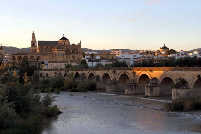 From Málaga: Córdoba Mosque Guided Tour - Mezquita-Catedral magic: why this guided visit makes a difference