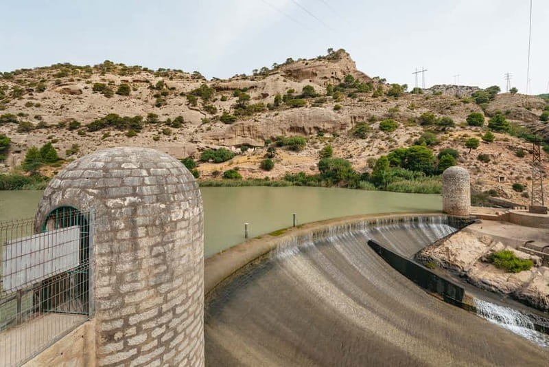 From Málaga & Costa del Sol: Caminito del Rey Guided Tour - Passing the Gorge of the Gaitanes, Flora, and Wildlife Notes