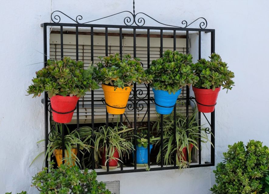 From Málaga /Costa del Sol: Trip to Nerja & Frigiliana - Hitting the Coast First: Nerja and El Balcón de Europa