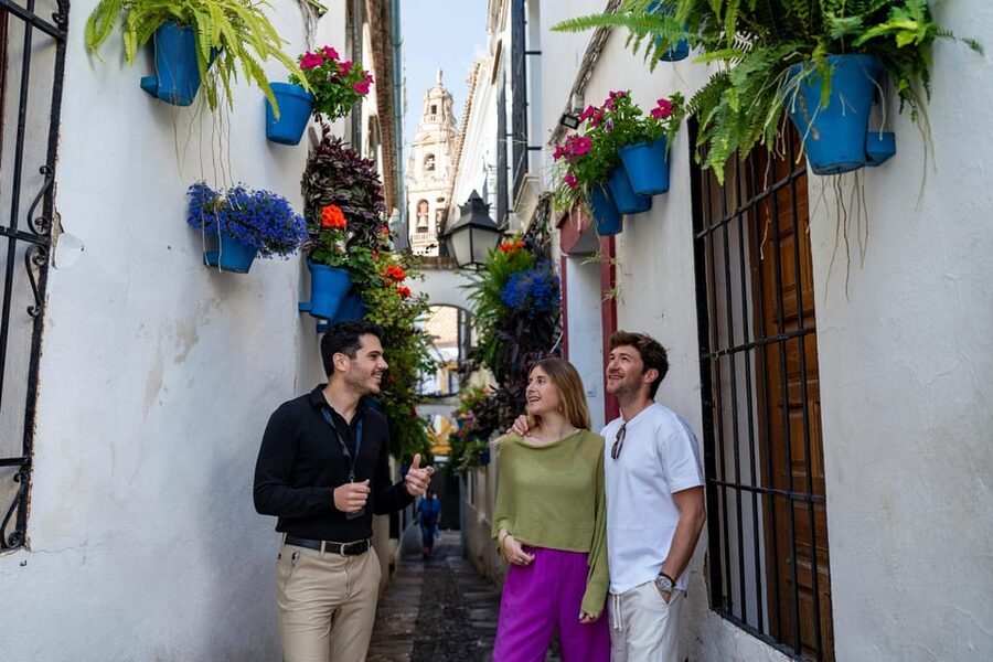 From Málaga: Day trip to Córdoba - Premium Small Group Tour - Should you book this Málaga to Córdoba premium small group tour?