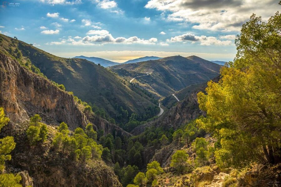 From Málaga: El Saltillo Gorge and White Village Hiking Tour - El Saltillo Gorge to White Villages: What This Tour Feels Like
