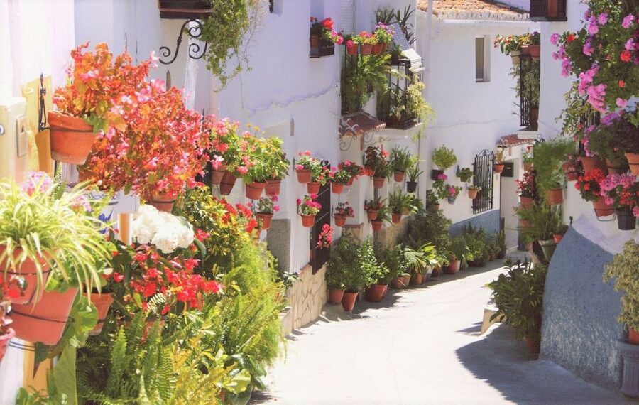 From Málaga: El Saltillo Gorge and White Village Hiking Tour - Sierra Alhama Natural Park: Learning While You Hike