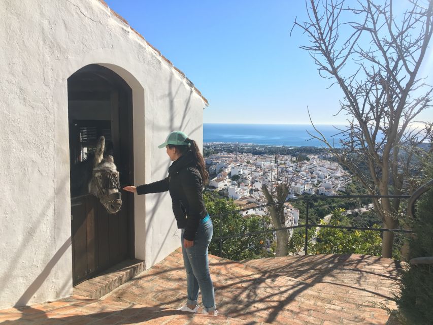 From Málaga: Frigiliana Hiking Tour with Wine & Appetizers - The van ride to Frigiliana, and why it matters
