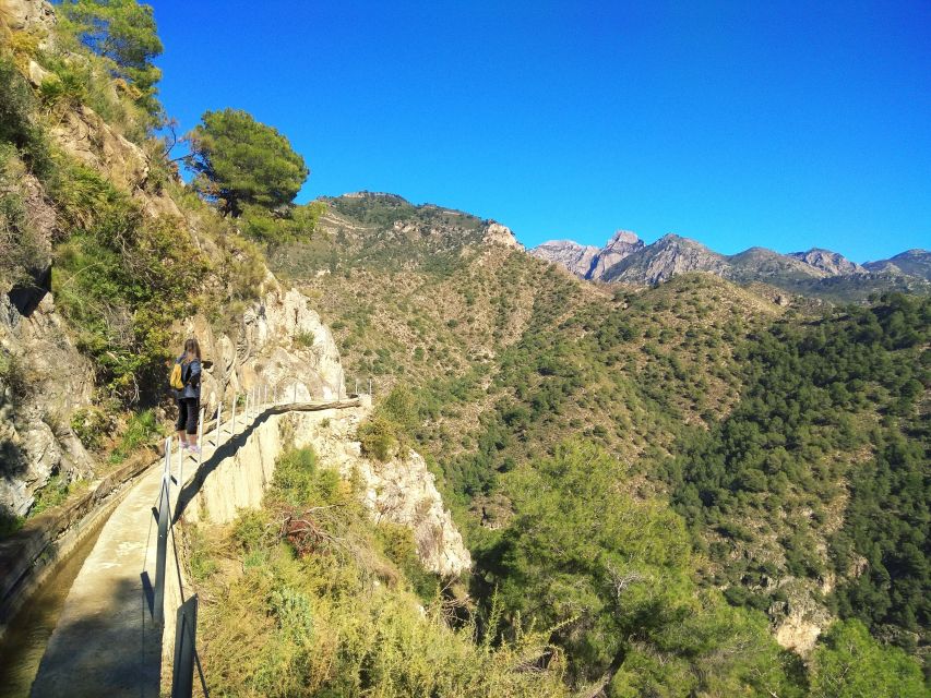 From Málaga: Frigiliana Hiking Tour with Wine & Appetizers - Wine cellar and tapas: sweet wines, cozy comfort