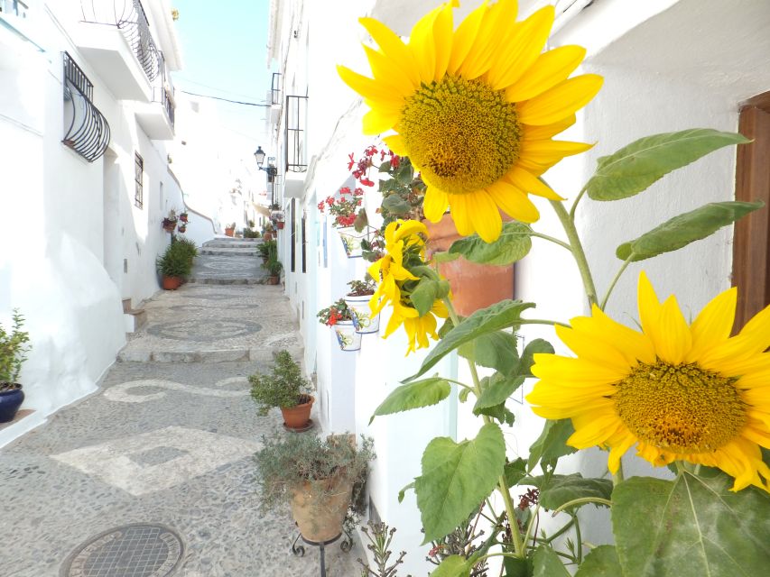 From Málaga: Frigiliana Hiking Tour with Wine & Appetizers - Meeting point details that save you time