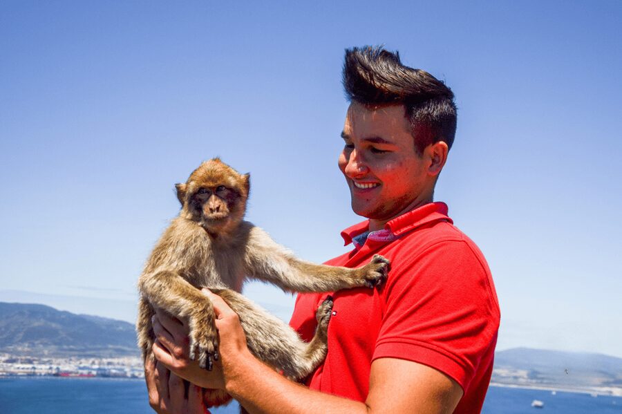 From Malaga: Full-Day Trip to Gibraltar - Key Things You Will Notice Right Away
