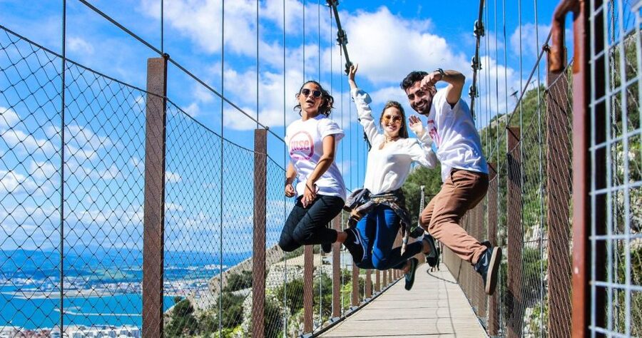 From Malaga: Full-Day Trip to Gibraltar - The Rock of Gibraltar Natural Park: Walk Up or Choose a Taxi Tour