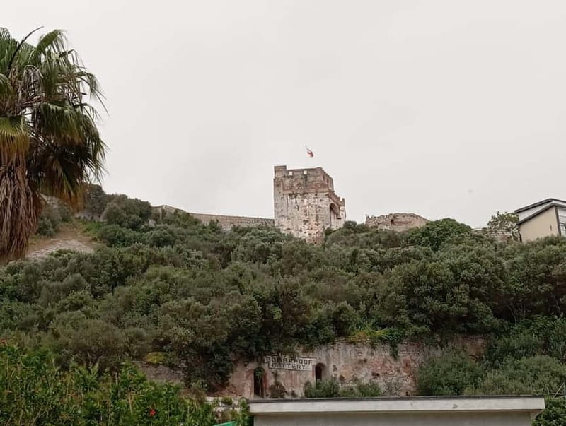 From Málaga: Gibraltar Day Trip - Rock of Gibraltar stops you can actually aim for