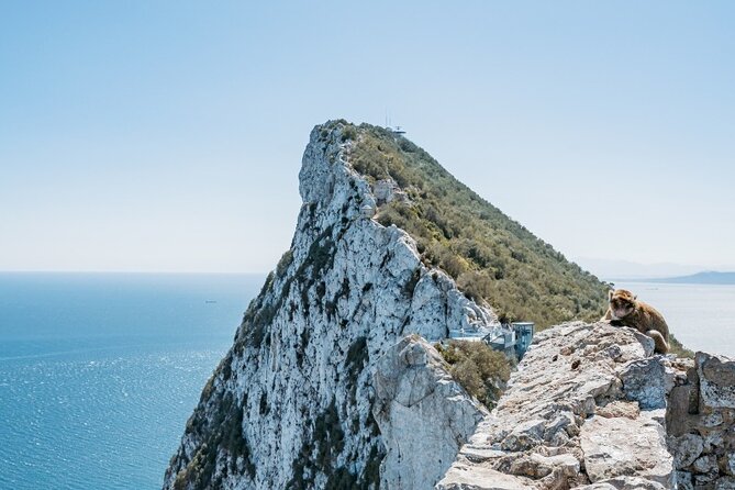 From Malaga, Gibraltar excursion with transport - Key Highlights I’d Plan Around