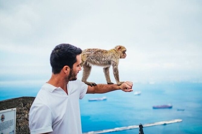 From Malaga, Gibraltar excursion with transport - What Guides Really Do for You (Names You’ll Hear)