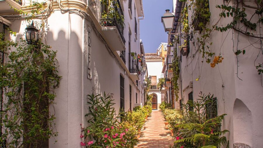 From Malaga or Costa del Sol: Mijas, Marbella & Puerto Banus - Marbella: Plaza de Los Naranjos and the Flower-Filled Old Town