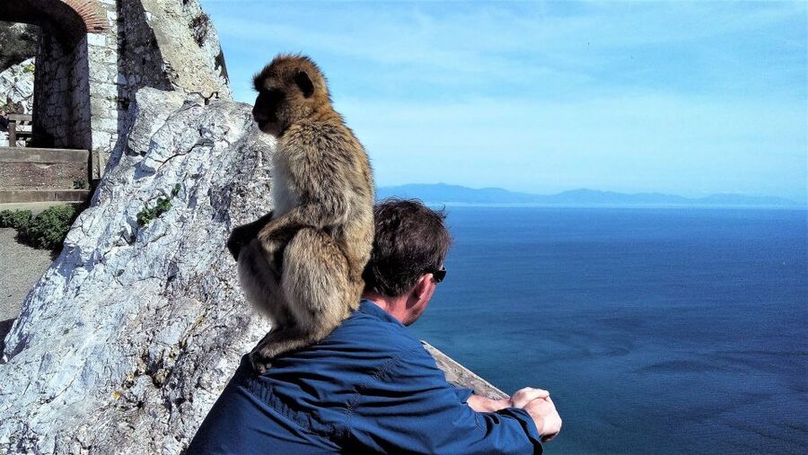 From Málaga or Marbella: Private Gibraltar Tour - Gibraltar Feels Like a Different Place, and That Matters