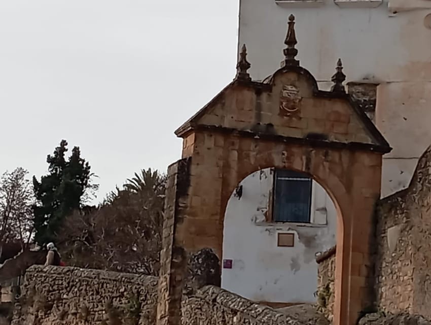 From Malaga: private tour Ronda and Setenil de las Bodegas - The pace, languages, and group feel you can expect