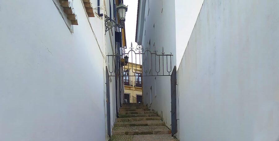 From Malaga: Ronda and Setenil Tour with Scenic Train - Comfort, Packing, and the Real Walking Parts