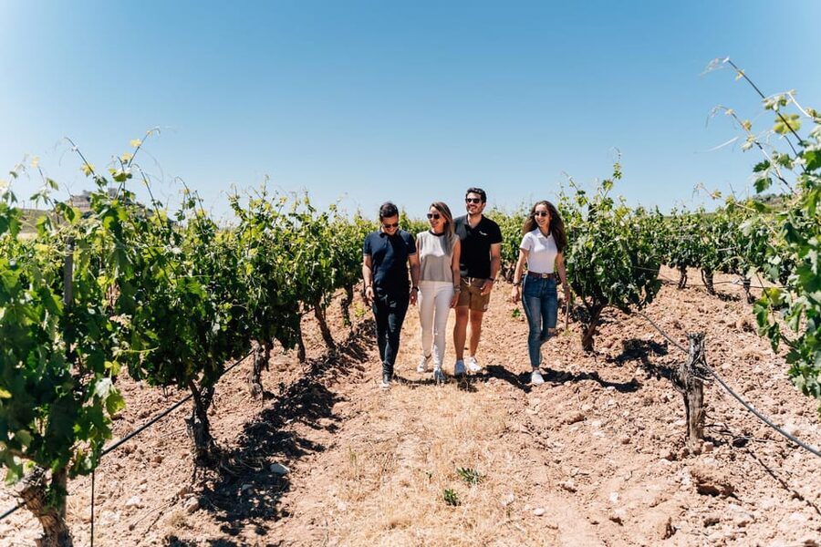 From Málaga: Ronda, Wine & Olive Oil Tasting Small Group - Key things to know before you go